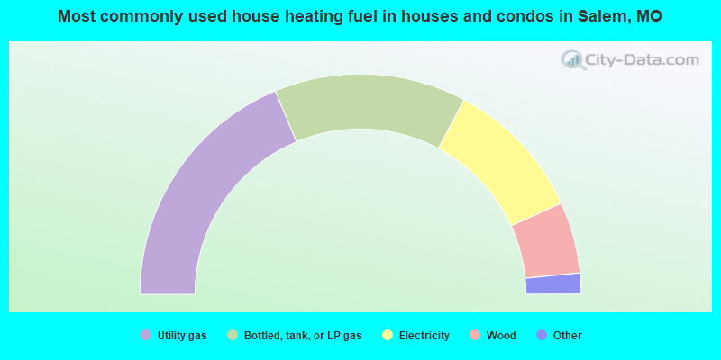 Most commonly used house heating fuel in houses and condos in Salem, MO