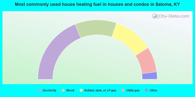 Most commonly used house heating fuel in houses and condos in Saloma, KY