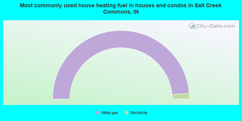 Most commonly used house heating fuel in houses and condos in Salt Creek Commons, IN