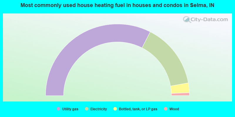 Most commonly used house heating fuel in houses and condos in Selma, IN