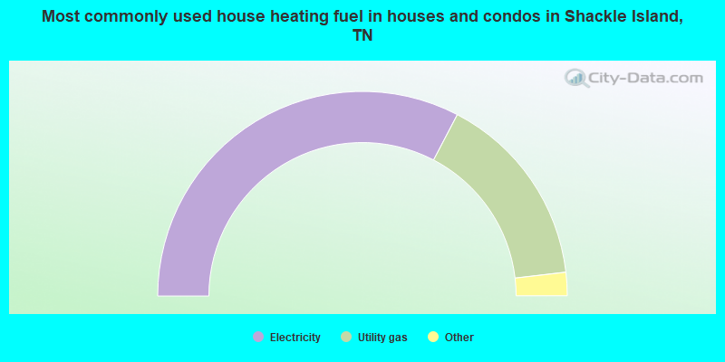 Most commonly used house heating fuel in houses and condos in Shackle Island, TN