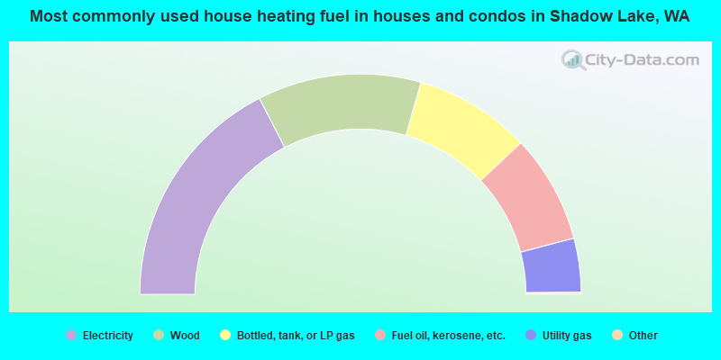 Most commonly used house heating fuel in houses and condos in Shadow Lake, WA