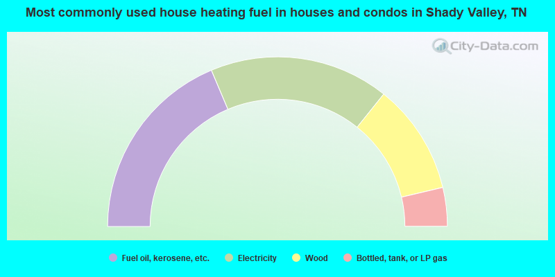Most commonly used house heating fuel in houses and condos in Shady Valley, TN