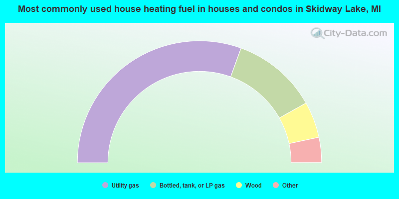 Most commonly used house heating fuel in houses and condos in Skidway Lake, MI