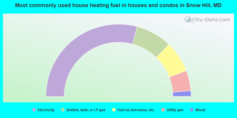 Most commonly used house heating fuel in houses and condos in Snow Hill, MD