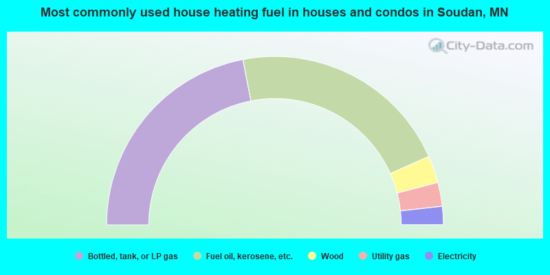 Most commonly used house heating fuel in houses and condos in Soudan, MN