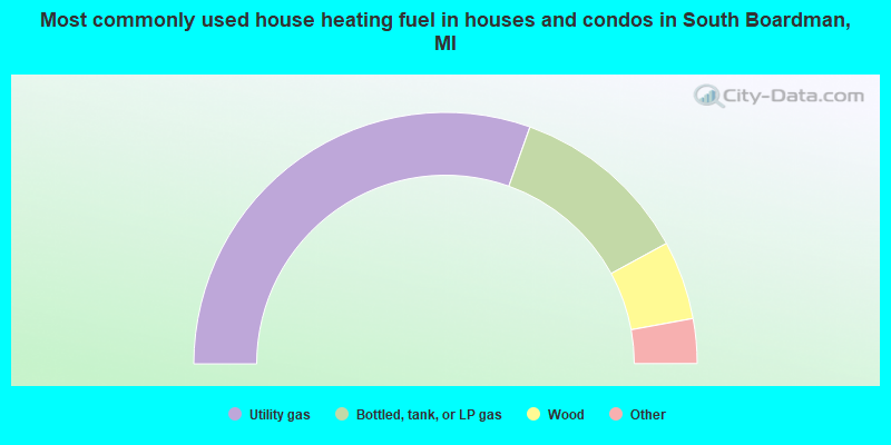Most commonly used house heating fuel in houses and condos in South Boardman, MI