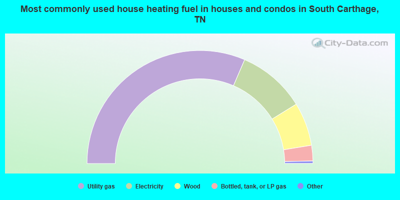 Most commonly used house heating fuel in houses and condos in South Carthage, TN
