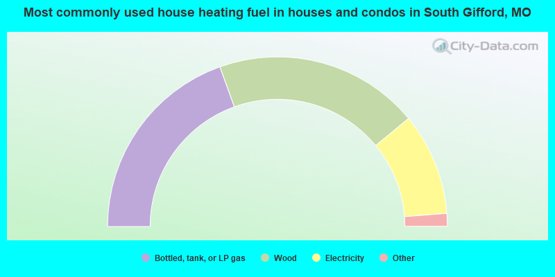 Most commonly used house heating fuel in houses and condos in South Gifford, MO