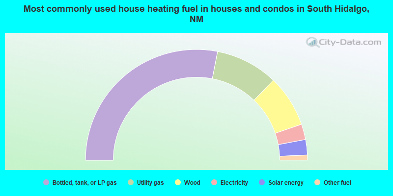 Most commonly used house heating fuel in houses and condos in South Hidalgo, NM