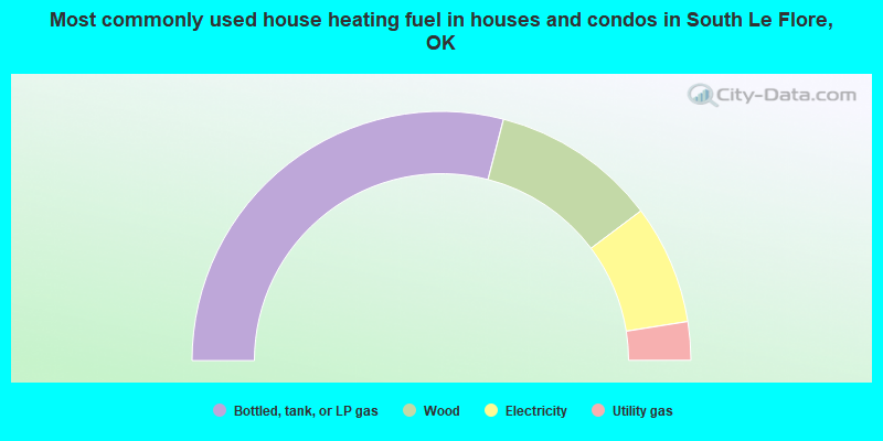 Most commonly used house heating fuel in houses and condos in South Le Flore, OK