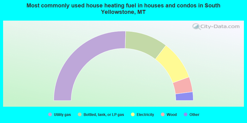 Most commonly used house heating fuel in houses and condos in South Yellowstone, MT