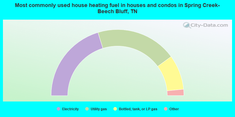 Most commonly used house heating fuel in houses and condos in Spring Creek-Beech Bluff, TN