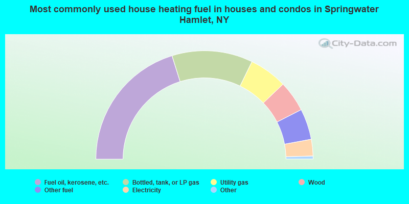 Most commonly used house heating fuel in houses and condos in Springwater Hamlet, NY