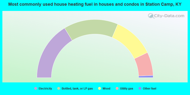 Most commonly used house heating fuel in houses and condos in Station Camp, KY