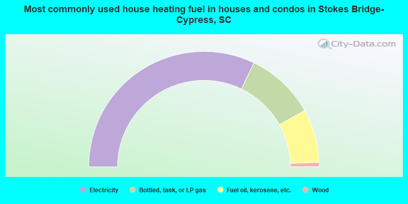 Most commonly used house heating fuel in houses and condos in Stokes Bridge-Cypress, SC