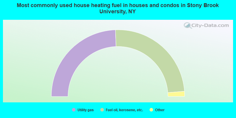 Most commonly used house heating fuel in houses and condos in Stony Brook University, NY