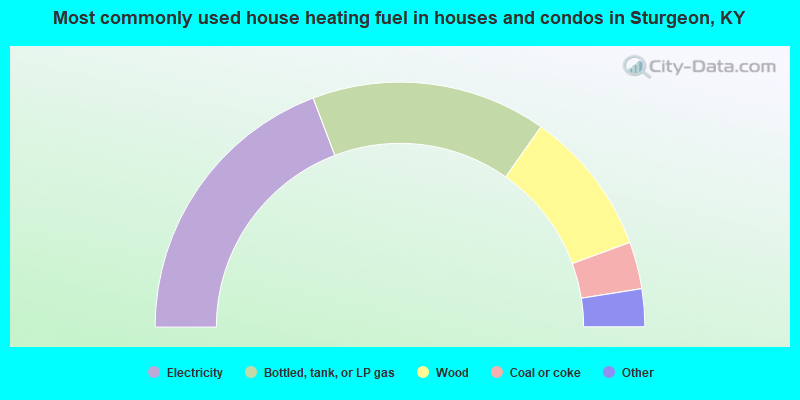 Most commonly used house heating fuel in houses and condos in Sturgeon, KY