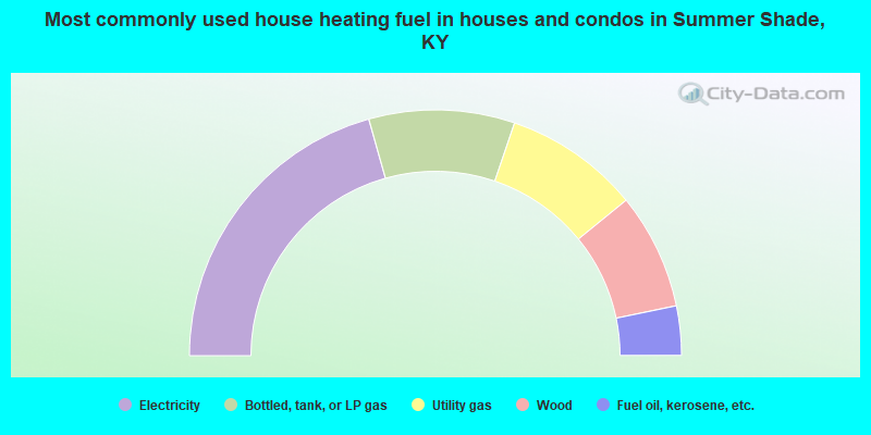 Most commonly used house heating fuel in houses and condos in Summer Shade, KY