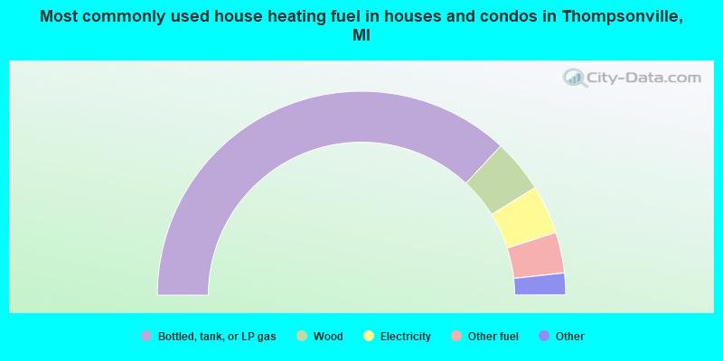 Most commonly used house heating fuel in houses and condos in Thompsonville, MI