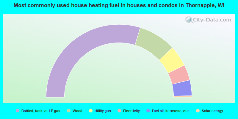 Most commonly used house heating fuel in houses and condos in Thornapple, WI