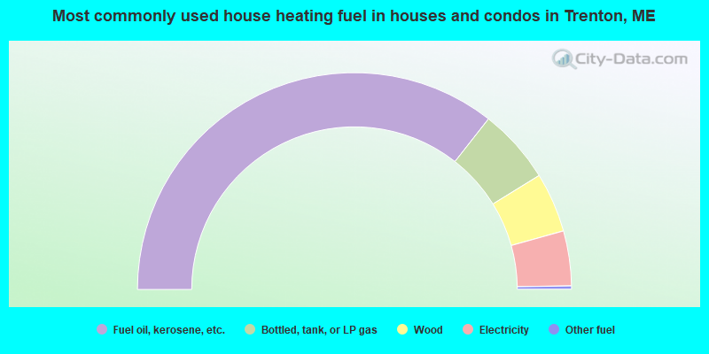 Most commonly used house heating fuel in houses and condos in Trenton, ME