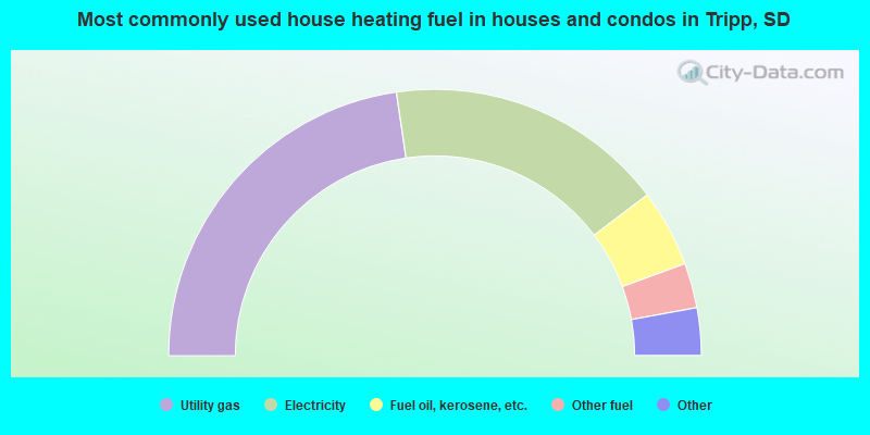 Most commonly used house heating fuel in houses and condos in Tripp, SD