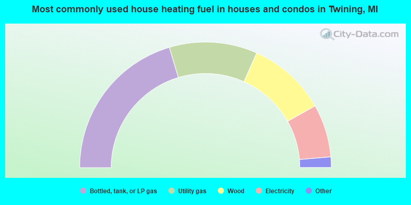 Most commonly used house heating fuel in houses and condos in Twining, MI