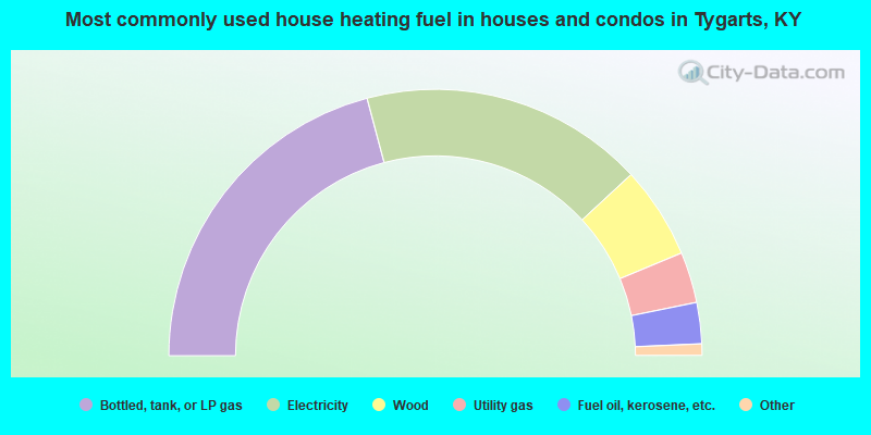 Most commonly used house heating fuel in houses and condos in Tygarts, KY