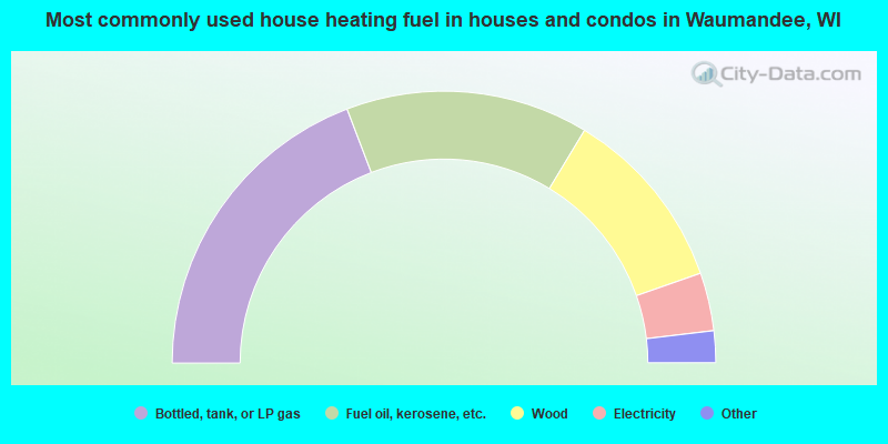 Most commonly used house heating fuel in houses and condos in Waumandee, WI
