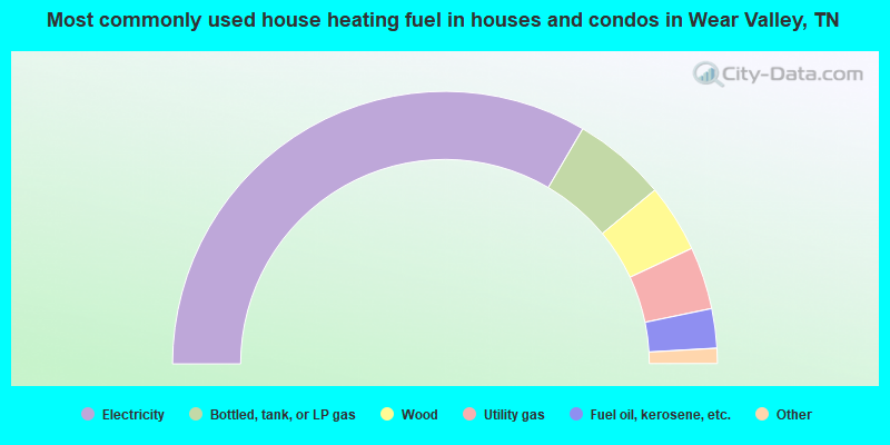 Most commonly used house heating fuel in houses and condos in Wear Valley, TN