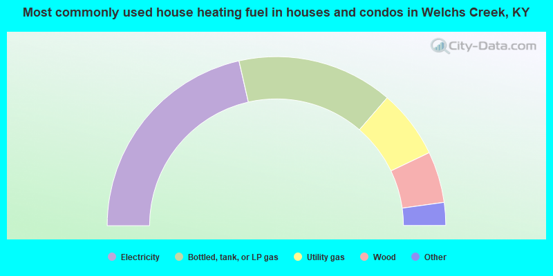 Most commonly used house heating fuel in houses and condos in Welchs Creek, KY