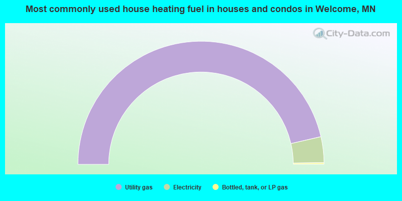 Most commonly used house heating fuel in houses and condos in Welcome, MN