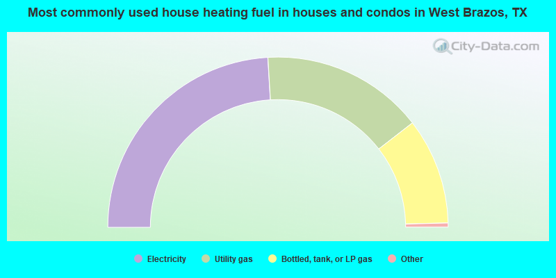 Most commonly used house heating fuel in houses and condos in West Brazos, TX