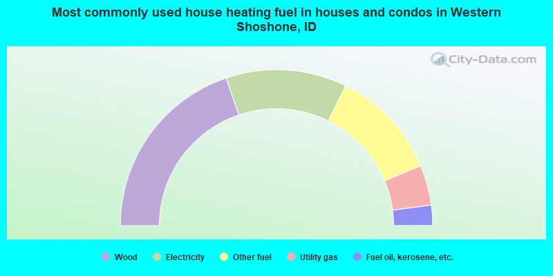 Most commonly used house heating fuel in houses and condos in Western Shoshone, ID