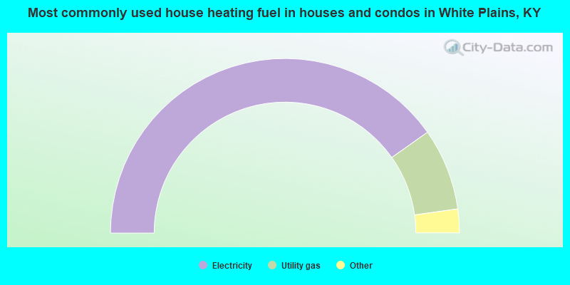 Most commonly used house heating fuel in houses and condos in White Plains, KY