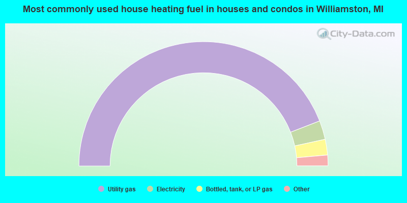 Most commonly used house heating fuel in houses and condos in Williamston, MI