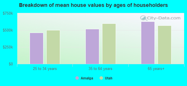 Breakdown of mean house values by ages of householders