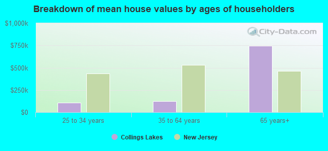 Breakdown of mean house values by ages of householders