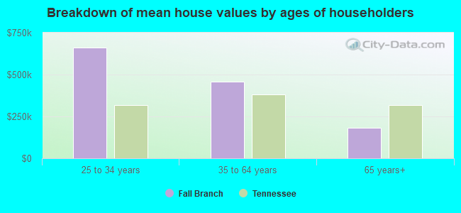 Breakdown of mean house values by ages of householders