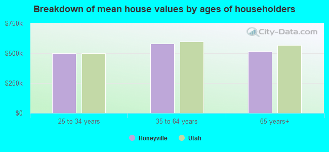 Breakdown of mean house values by ages of householders