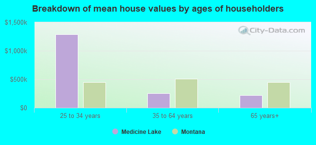 Breakdown of mean house values by ages of householders