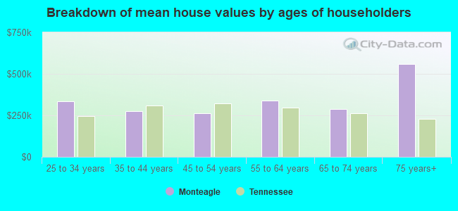 Breakdown of mean house values by ages of householders