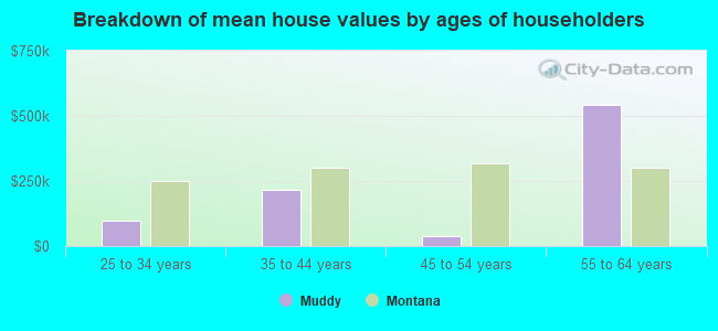 Breakdown of mean house values by ages of householders