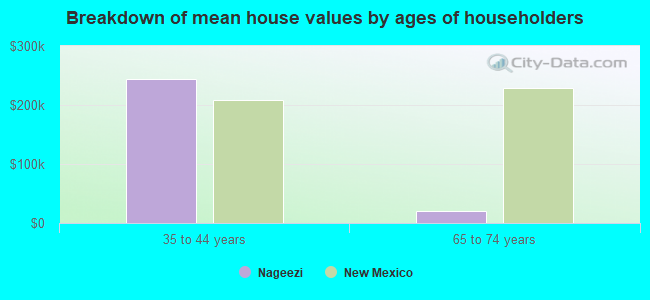 Breakdown of mean house values by ages of householders