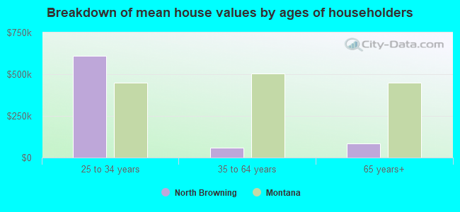 Breakdown of mean house values by ages of householders