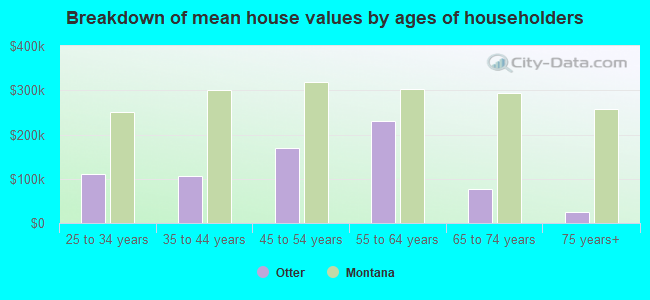 Breakdown of mean house values by ages of householders