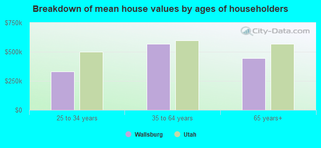 Breakdown of mean house values by ages of householders