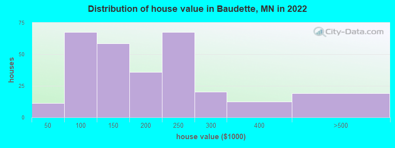 Distribution of house value in Baudette, MN in 2022