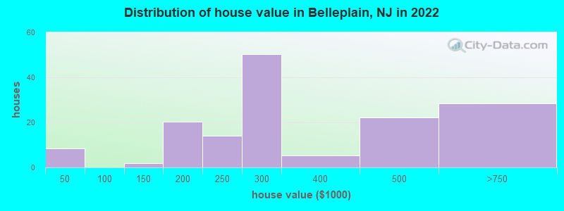 Distribution of house value in Belleplain, NJ in 2022